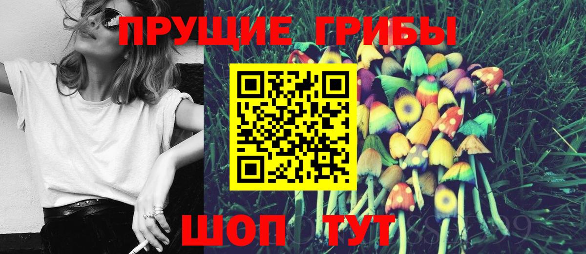купить  цена  Псилоцибиновые грибы Psilocybine cubensis  Галлюциногенные грибы MAGIC MUSHROOMS  Вход с VPN  Малгобек 
